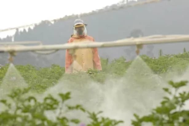 Bbva Colombia y Yara establecieron una alianza que permitirá a agricultores y ganaderos acceder a fertilizantes, con hasta un 60% menos de huella de carbono