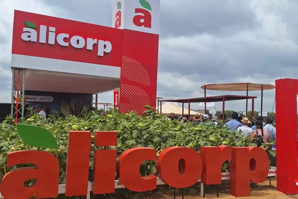 Alicorp registró utilidad neta de US$79 millones y ventas por US$807 millones en segundo trimestre de 2025