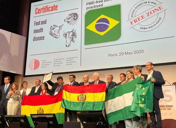 La Organización Mundial de Sanidad Animal recertificó a Colombia como territorio libre de siete enfermedades animales