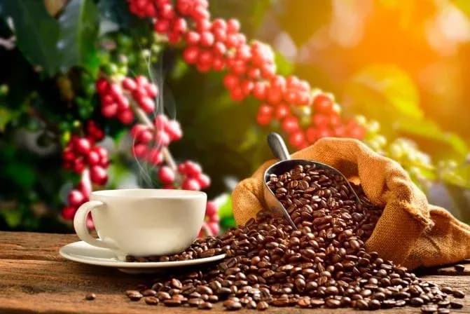 Con el café por libra en US$3,96, la carga en Colombia se consolida por encima de los $3 millones