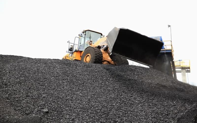 Fenalcarbón advierte que el aumento en los costos del transporte de carga afecta las exportaciones y pide revisar la metodología oficial