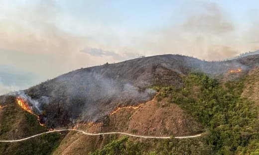 Declaran calamidad pública en el Huila por incremento de incendios forestales