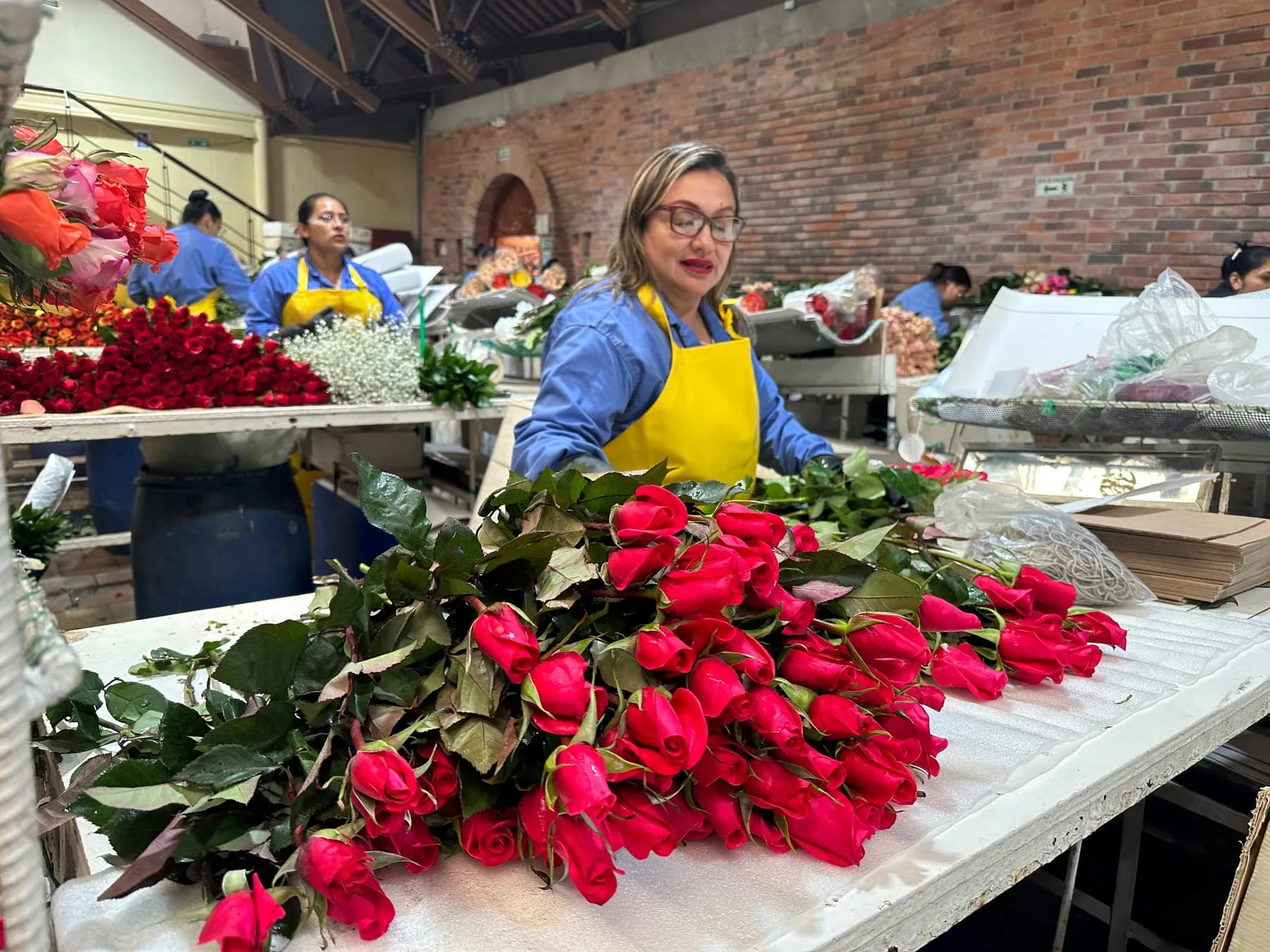 Según datos de Asocolflores, las flores de Colombia movilizan en San Valentín el 18% del mercado exportador del sector en el año