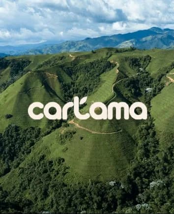 Grupo colombiano Cartama invertirá $502.000 millones en ampliación de cultivos de aguacate  y construcción de una planta de empaque