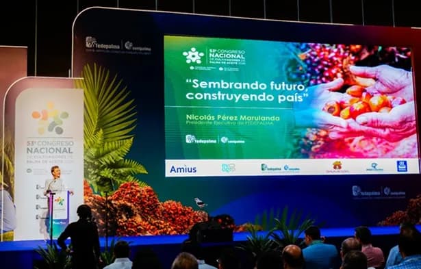 Envejecimiento de cultivos y productores, y la urgente necesidad de ajustar la parafiscalidad: temas clave en el Congreso Palmero de Cali