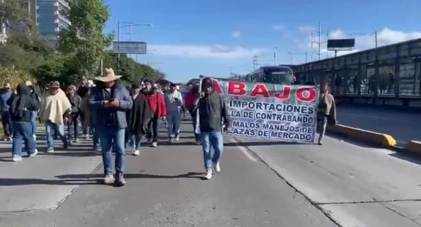 Movilidad afectada en la Autopista Norte por cebolleros de Boyacá: piden al Gobierno Nacional regular los precios del alimento