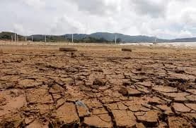 Fenómeno de "El Niño" elevará el riesgo de sequías e incendios forestales, con impacto directo en los sectores agrícola y energético