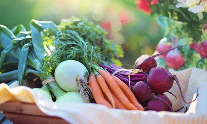 La FAO y el Programa Mundial de Alimentos piden US$202 millones para los afectados por El Niño, entre ellos Colombia