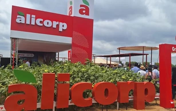 Alicorp incrementa 1,6% sus utilidades trimestrales y mantiene estable su rentabilidad operativa en 2025