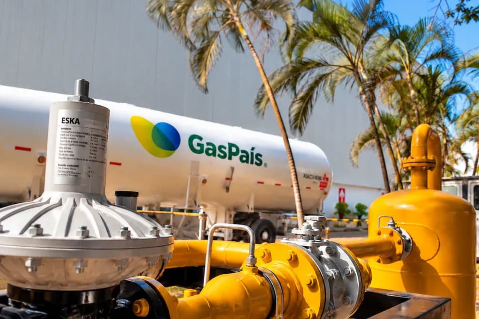 Importaciones de gas natural llegan al 39% de la oferta nacional y GasPaís planteó diversificar el abastecimiento industrial con GLP