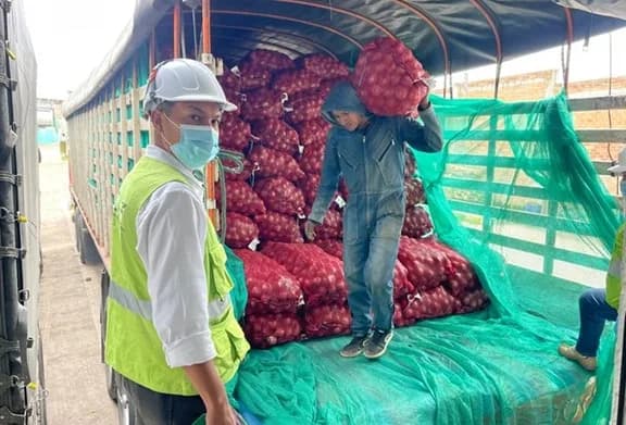 Durante enero, el Instituto Colombiano de Agricultura inspeccionó 15 tractomulas con cebolla importada en el Puente Rumichaca en la frontera con Ecuador