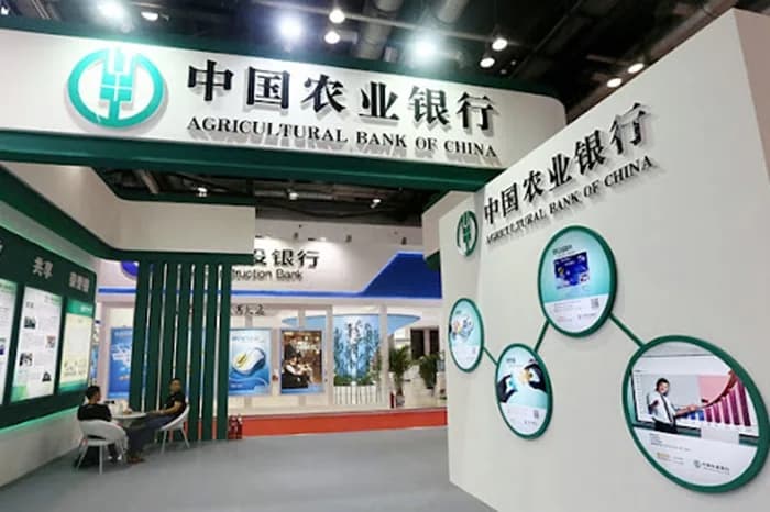 El fundador del gigante inmobiliario chino Evergrande, Xu Jiayin, fue condenado a cadena perpetua