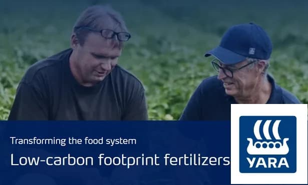 Noruega Yara proporcionará fertilizantes a productores de papa colombianos que producen para PepsiCo