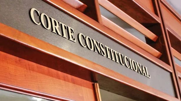 Corte Constitucional suspendió provisionalmente el decreto que creaba nuevos cobros a las empresas generadoras de energía eléctrica