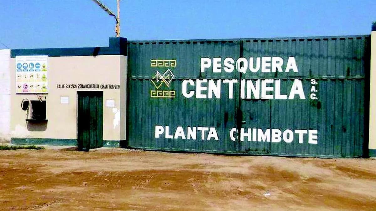Indecopi aprobó compra del 100% de Centinela por parte de Exalmar, donde la familia Piñera Morel posee 9,2%