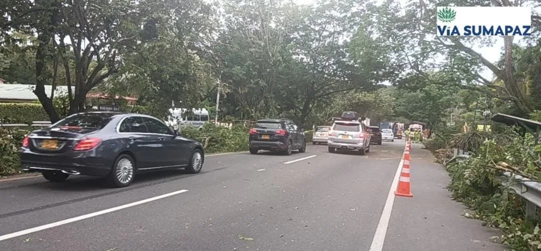 Habilitan calzada Bogotá-Girardot en el sector Salero en Melgar, tras emergencia por la caída de un árbol