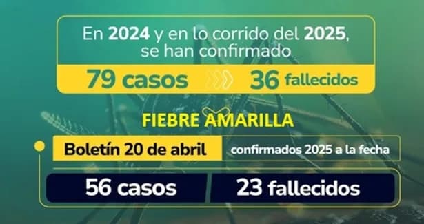 En Colombia se han registrado 79 casos de fiebre amarilla entre 2024 y 2025; van 36 fallecidos