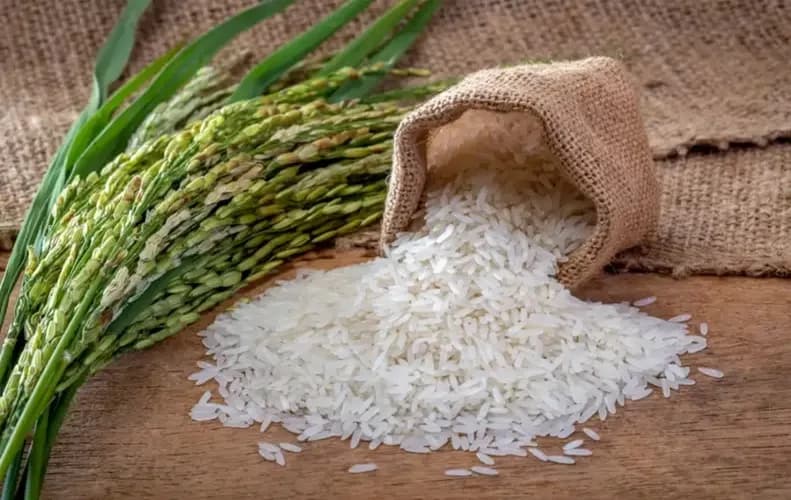 Hallazgos fiscales por $4.037 millones, determinó la Contraloría General en auditoría al Fondo Nacional  del Arroz