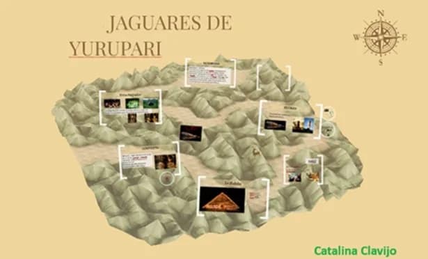 Corte Constitucional ordena suspender licenciamiento minero en macroterritorio de los Jaguares de Yuruparí en el Amazonas