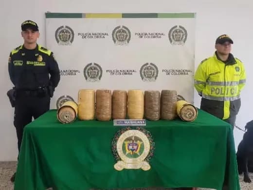 Confiscados 20 kilos de marihuana en una encomienda en la terminal de carga del Aeropuerto Eldorado de Bogotá