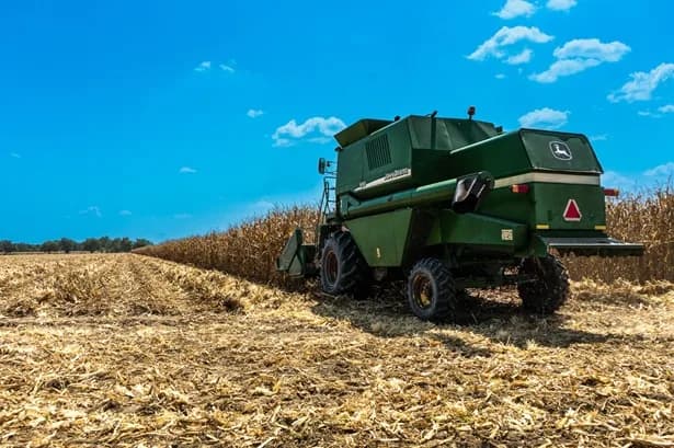 El próximo sábado Fenalce realizará la Cadena del Maíz y la Soya la Feria Agroempresarial Expomalocas, en Villavicencio