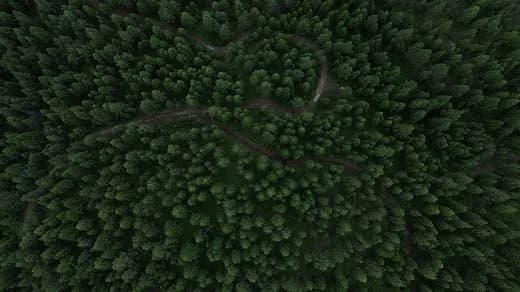 Transformación ambiental global: un llamado a redefinir la relación humano-naturaleza