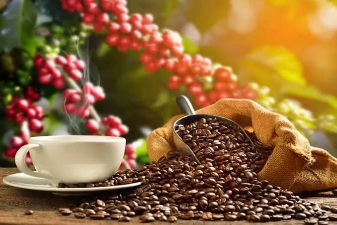 Precio del café subió y se ubicó en máximos desde finales de marzo de 2026