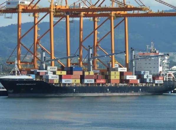 Maersk implementó un nuevo servicio que conecta con Panamá para la exportación de banano colombiano