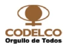 Codelco acordó adquirir el 100% de las acciones de Lithium Power International Limited (LPI) por un valor de US$244 millones