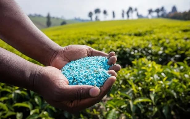 Precio de la urea en Colombia alcanza máximos desde 2024 tras escalada internacional del fertilizante y aumenta un 12% con respecto al 2025