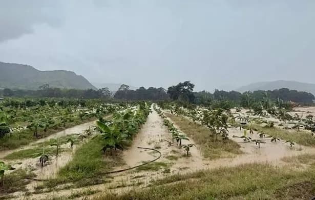 Desbordamiento del río Suaza en Huila dejó afectaciones en viviendas, vías y cultivos