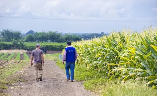 Entre enero y mayo de 2025, Colombia consolidó un superávit comercial agropecuario en valor por US$2.489 millones FOB