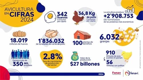 Gonzalo Moreno, presidente ejecutivo de Fenavi, fue designado como vicepresidente del Consejo Mundial del Pollo para el periodo 2026–2029