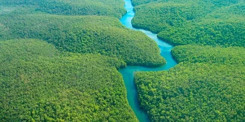 Alemania, Reino Unido y Noruega aportarán cerca de 20 millones de euros para reducir la deforestación y proteger la Amazonía colombiana