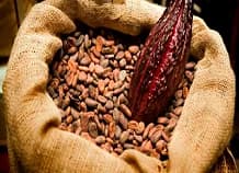 Precios del cacao alcanzaron los US$10.000 por tonelada métrica por primera vez en la historia