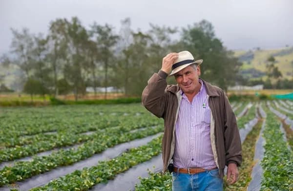 En lo corrido del año (enero-junio), el valor agregado del agro creció 5,3% frente al mismo periodo de 2024
