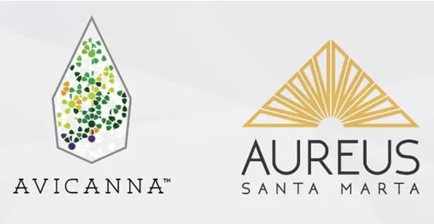 Santa Marta Golden (de Avicanna) completó su primera exportación de flor de cannabis (CBG) a Australia