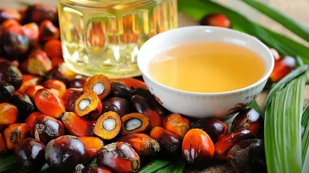 Tras una disminución del 6,6% en 2024, en aceite de palma, se estima una recuperación en la producción a 1,78 millones de toneladas