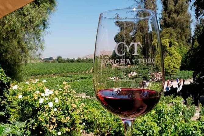Concha y Toro redujo utilidad 36% en el primer trimestre pese al avance de vinos premium