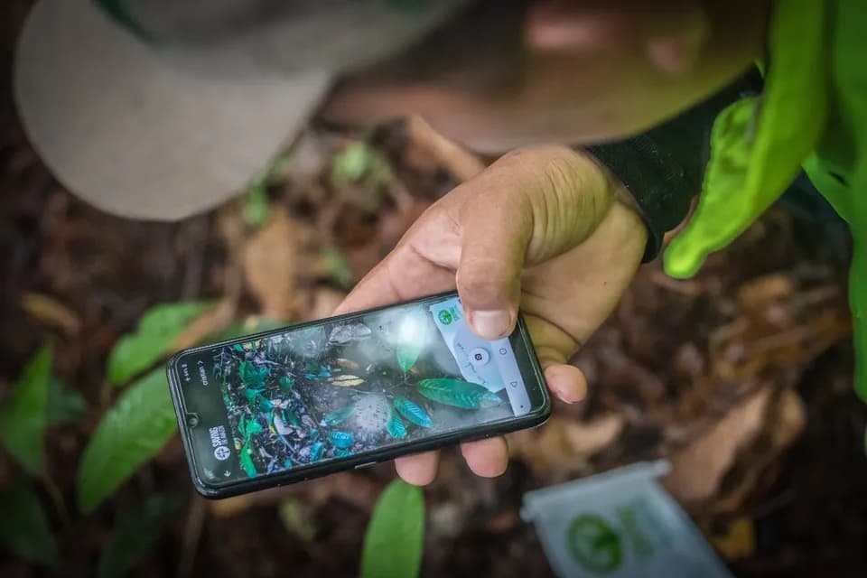 La reforestación une a comunidades indígenas y transforma la Amazonía