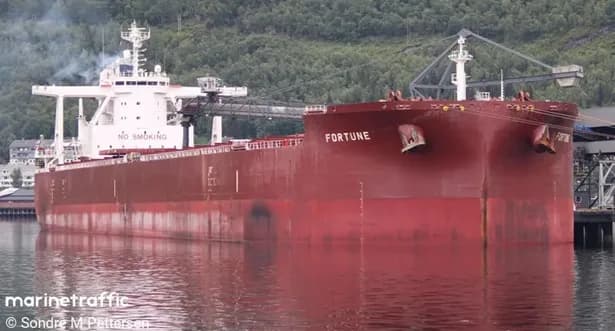 Activistas piden a Malta que devuelva a Colombia el buque Fortune que transporta carbón a Israel