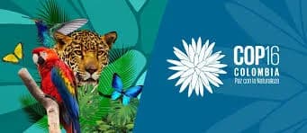 La Unidad Nacional de Protección (UNP) dijo que están en alerta permanente sobre la seguridad del presidente Petro: tendrá esquema especial en la COP16