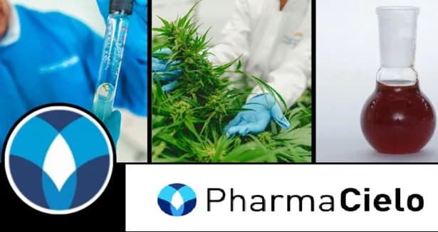 La negociación de las acciones de PharmaCielo se reanudará en la Bolsa de Valores de Toronto