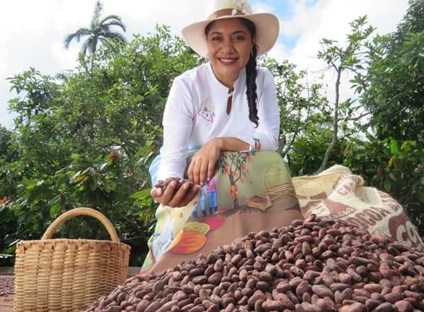 Entre 2024 y 2025, el contrabando de cacao habría contribuido a una caída cercana a 19.964 toneladas en la producción nacional según Fedecacao
