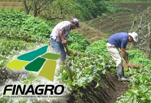 Asamblea de Finagro designó nuevos miembros en su Junta Directiva