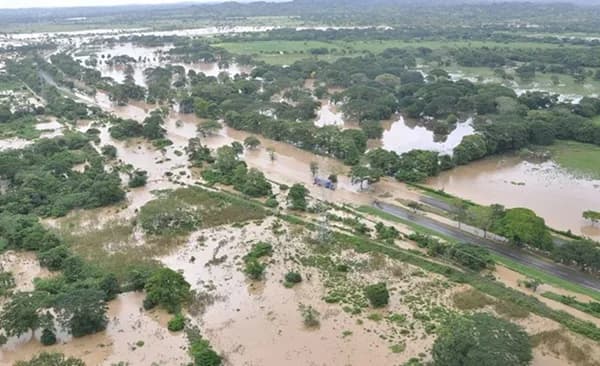 Boletín Agroclimático advierte aumento de lluvias y riesgo de La Niña: 67.000 hectáreas del sector agropecuario en riesgo por exceso hídrico
