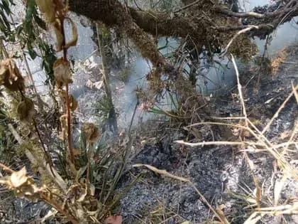 Declaran alerta roja en San Andrés ante posible riesgo de incendios forestales por el fenómeno de El Niño