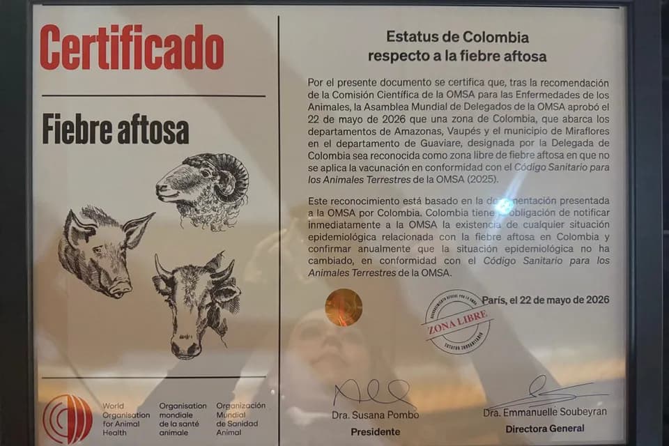 Organización Mundial de Sanidad Animal declaró a Amazonas, Vaupés y Miraflores (Guaviare) como libres de aftosa sin vacunación