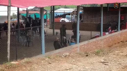 Fueron liberados los 57 militares que permanecían secuestrados por la comunidad en zona rural del municipio de El Tambo, Cauca