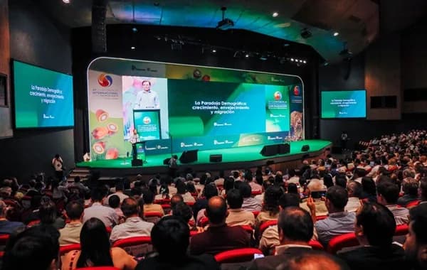 Colombia proyecta producir 300.000 toneladas de combustible de aviación con palma a 2035 y certifica 32% de su aceite bajo estándares europeos